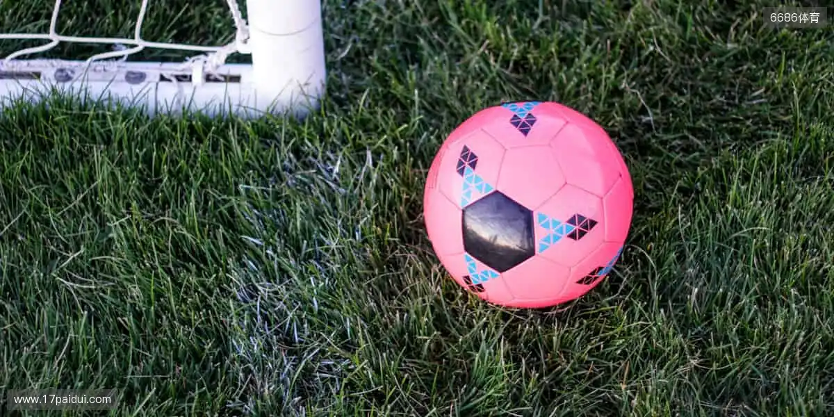 🏀巅峰对决,见证冠军诞生的荣耀瞬间!🏆